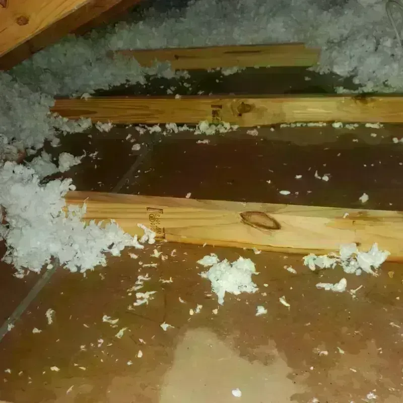 Attic Water Damage in Lamesa, TX