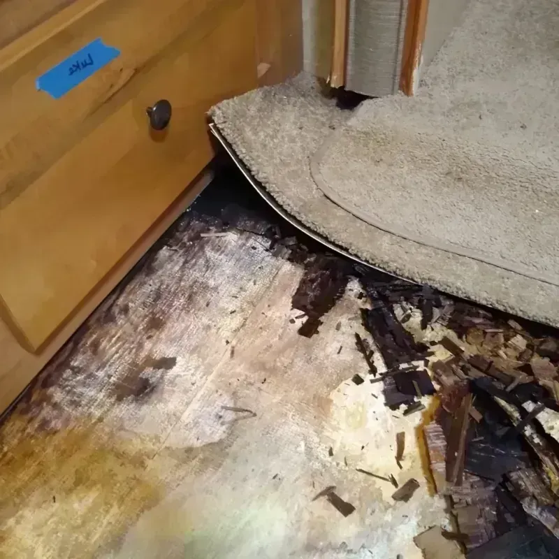 Wood Floor Water Damage in Lamesa, TX